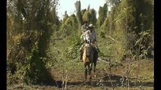 FORMOSA BAÑADO LA ESTRELLA