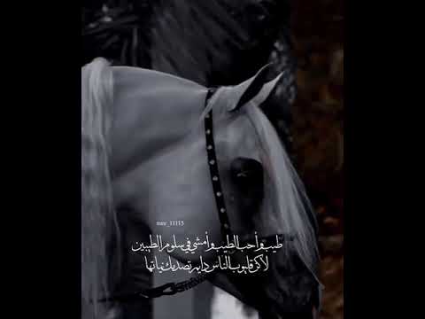 طيب واحب الطيب عبدالكريم الجباري 2022 شيلات جديد خواطر شيله سامري قصايد