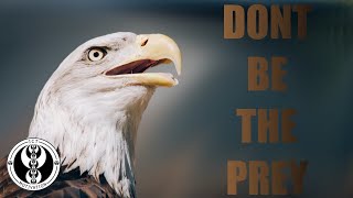 DONT BE THE PREY - ICT ( INNER CIRCLE TRADER )