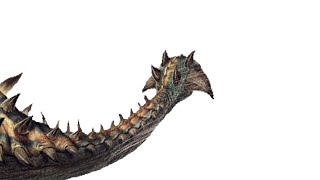 Tail