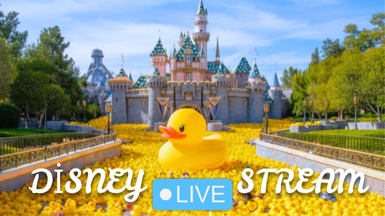 🔴 Disneyland Live Stream 🐤 $1 = 1 Ducky Drop