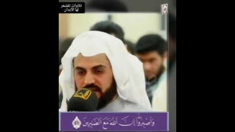 "وَاصْبِرُوا إِنَّ اللّهَ مَعَ الصَّابِرِين" تلاوة خاشعة من سورة الأنفال بصوت القارئ رعد الكردي