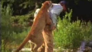 When Cougars/Mountain Lions Attack