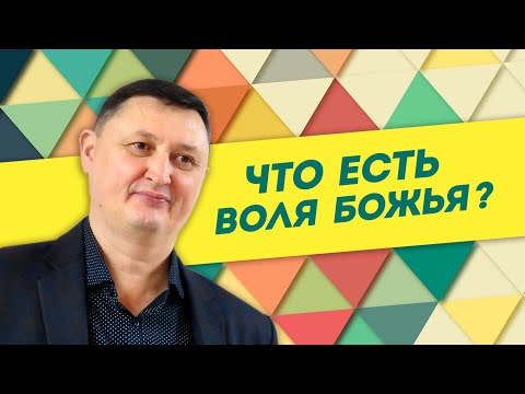 Что есть воля