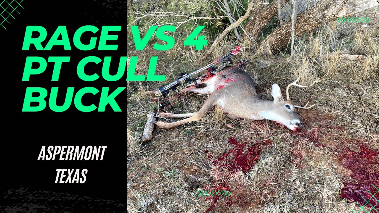 Rage Broadhead vs 4 Point Cull Buck! YouTube