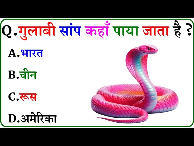 GK Question || GK In Hindi || GK Question and Answer || GK Quiz ||
