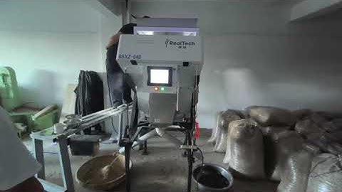 sunflower seeds sorting