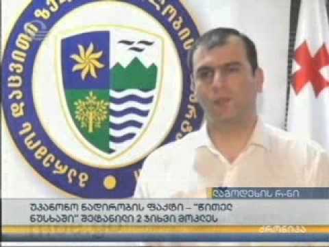 MOE: ლაგოდეხში უკანონო ნადირობის შედეგად მოკლული ორი ჯიხვი ამოიღეს