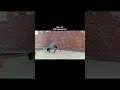 BUILD A WEAPON🥊 #martialartstraining#selfdifence#video#fullpunch#short #boxing