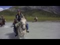 Конный тур к подножию горы Белухи от команды фитнес-центра Excellent. Горный Алтай.