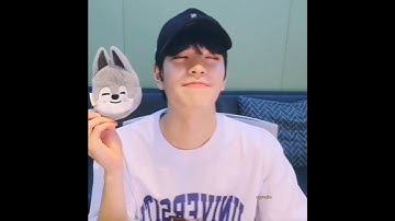 Seungmin trying to imitate Wolf Chan