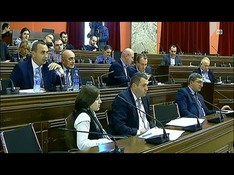 ბიუჯეტის განხილვა