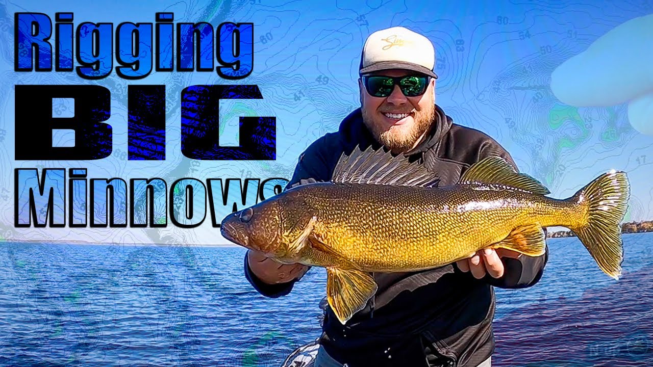 How to rig BIG chubs for fall walleye (tail-hooking trick) 