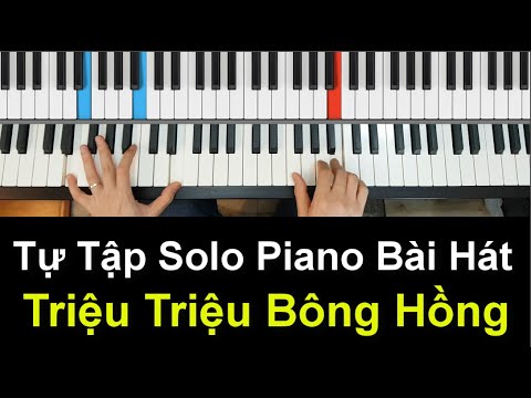 ✅ Triệu Triệu Bông Hồng - Hướng Dẫn Solo Piano | Dễ Tập - Dễ Chơi | Tuấn Lưu Piano |