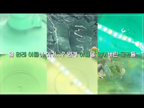 ‧₊⋆♡̷원래의 이름을 잃어버린 물건들👒 / 시리즈액괴 / 대규모시리즈 / 대규모 / 시리즈액괴 고딕 / 시리즈액괴 몽글 / 액괴시리즈 / 대시액
