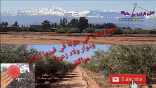 اجيو تشوفو معايا اول فلوغ في قناتي في ولاد زعرية