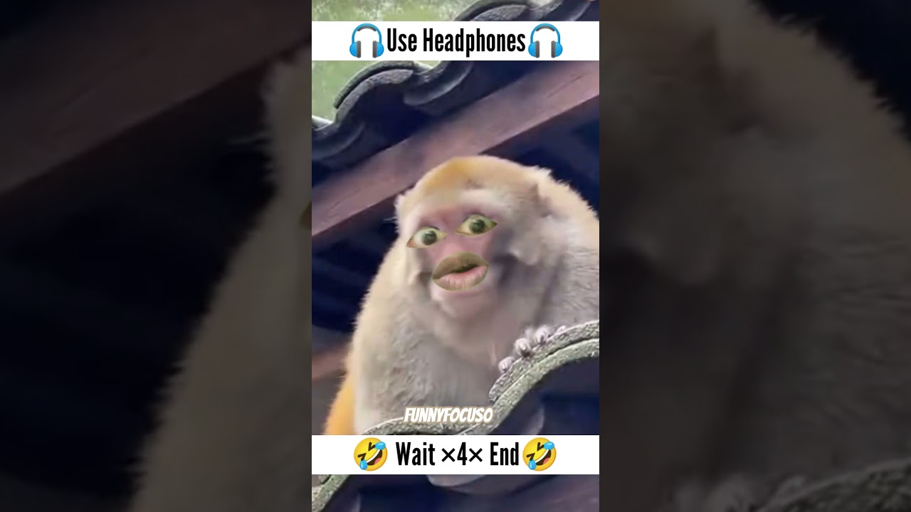 Aaj to rocket hi bana diya 