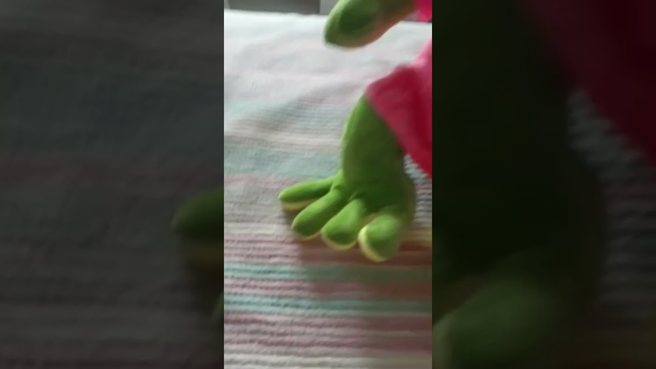Брелок С Живой Ящерицей И Черепахой Купить