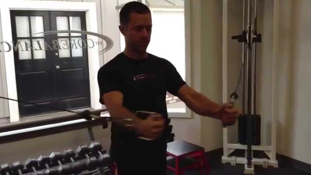 exercise 14.1 class 11 Standing Chest Flies with Cable