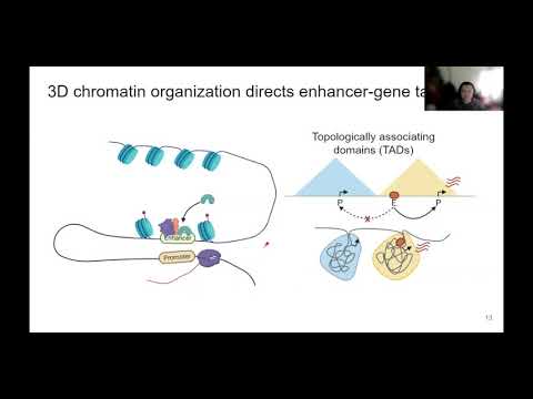 Epgienetic Enhancers (06/20/2021)