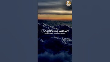 فَتَبَسَّمَ ضَاحِكًا مِّن قَوْلِهَا {سورة النمل}