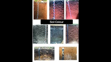 Soil Science & Agricultural Chemistry #IFS #ARS #AO #AFO  #SoilScience #ICAR #JRF #CUET #JET #NABARD