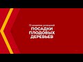 Онлайн курс обучения «Плодоводство» - 13 секретов успешной посадки плодовых деревьев