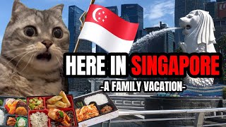 CAT MEMES: HERE IN SINGAPORE PT.2