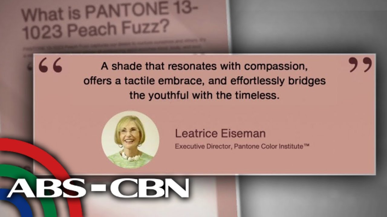 Top Story | ANC (8 December)