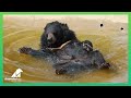 Barli's bath time