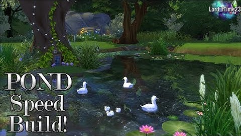 POND Speed Build! - Sims 4
