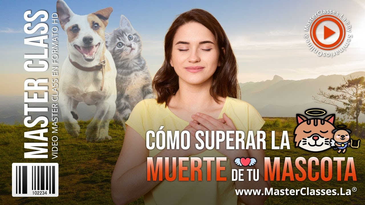 Como superar la muerte de tu mascota - YouTube