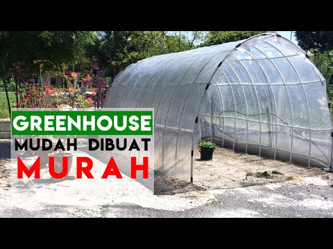 Video: Rumah Hijau DIY