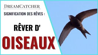RÊVER D'OISEAUX - SIGNIFICATION, INTERPRÉTATIONS & SYMBOLISME