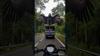Giant Eagle Spotted on a Truck! Real or CGI? 🦅🚛