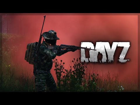 Видео: Ночной стрим в DayZ! #DayZ #ATPL #Livonia