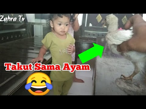 Balita Lucu Takut Sama Anak  Ayam  Bikin ngakak  YouTube