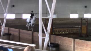 Cazzetti - equitation/jumper for sale