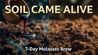 I Fed My Soil Molasses & Manure for 7 Days… The Microbial Explosion Was Unreal