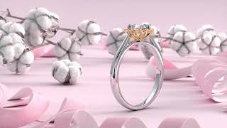 Endless Brilliance Collection