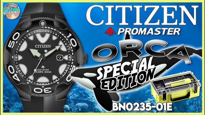 Citizen: The Watch Out with Bradley Hasemeyer | Review Promaster Dive  Special Edition BN0235-01E - YouTube