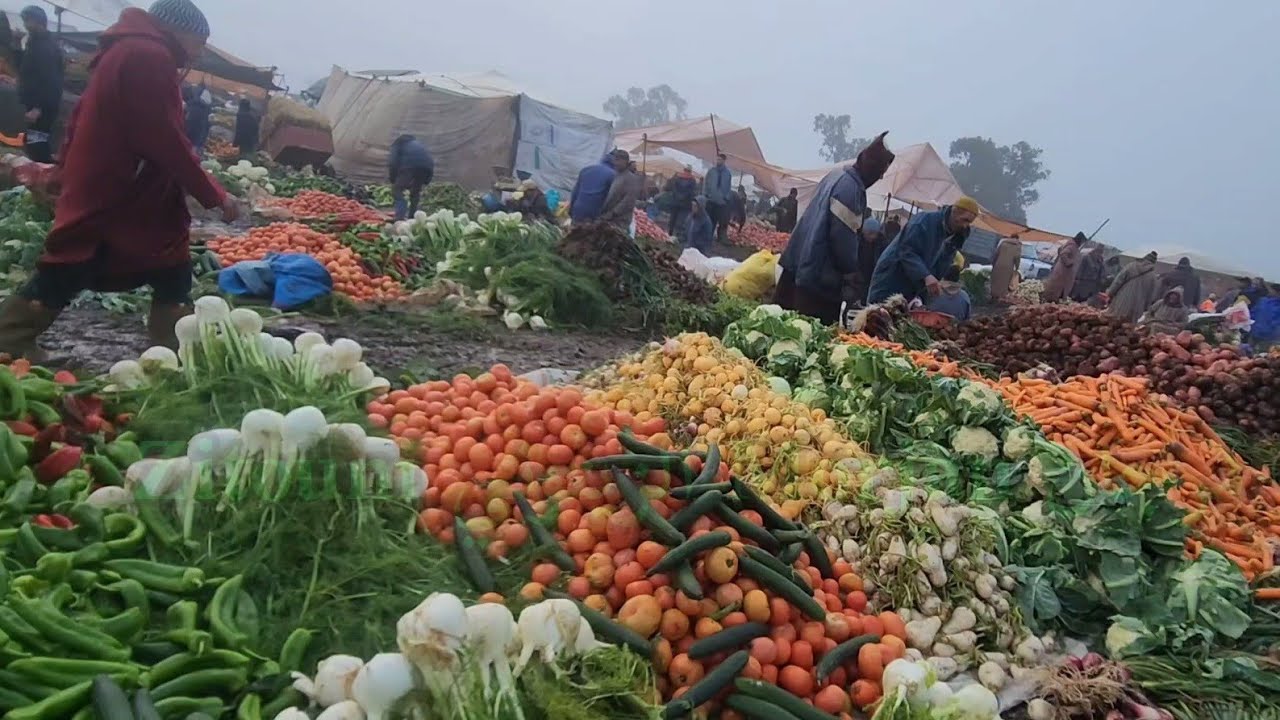 مباشرة من سوق الأسبوعي خميس سيدي حجاج مع تمن خضار🇲🇦
