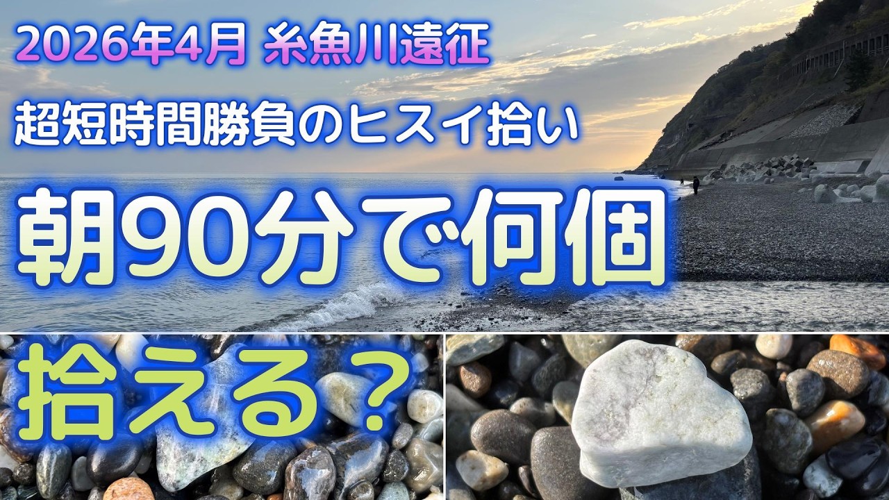 翡翠拾い】朝90分で何個拾える？糸魚川でガチ検証した結果が意外すぎた