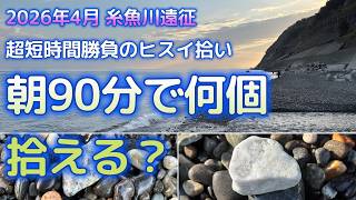 翡翠拾い】朝90分で何個拾える？糸魚川でガチ検証した結果が意外すぎた