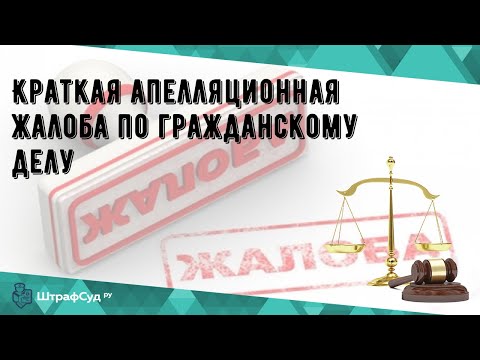 Краткая апелляционная жалоба по гражданскому делу