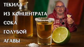 Можно ли сделать настоящую текилу дома? 🏠 Проверяем на сиропе голубой агавы 🌵