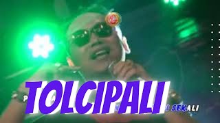 TOLCIPALI  ( TOLONG CIUM PAPI SEKALI   ) Monata discoplo  -  Herwanto garay