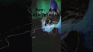 Herkezde Basına Gelmiatir