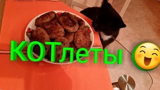 Домашние котлеты) простой и быстрый рецепт Домашние котлеты) простой и быстрый рецепт