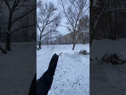ТЕСТ Шипованных покрышек для велосипеда #shorts